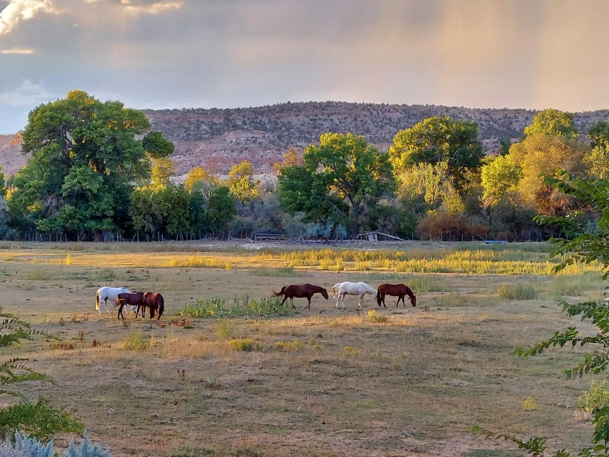 Canyons Of Escalante Rv Park المظهر الخارجي الصورة