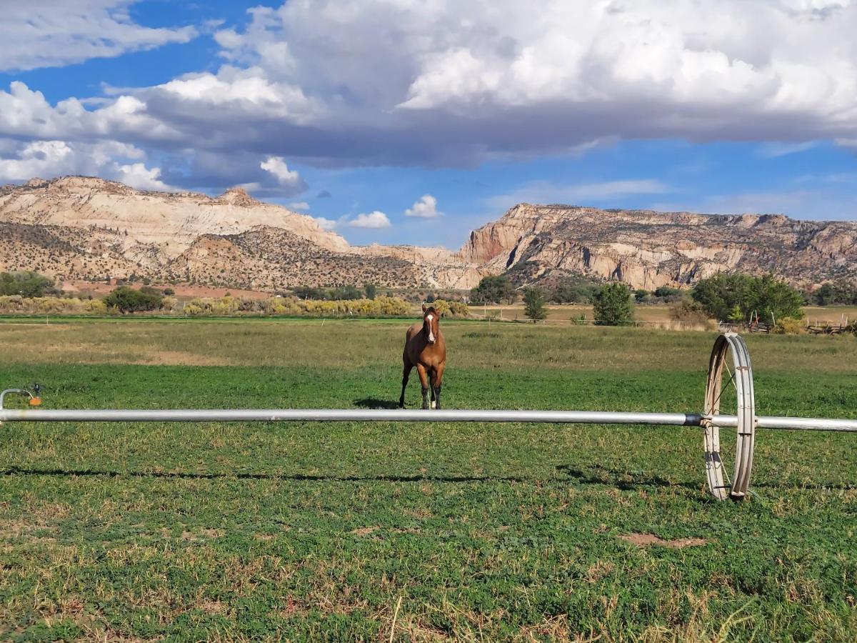 Canyons Of Escalante Rv Park المظهر الخارجي الصورة