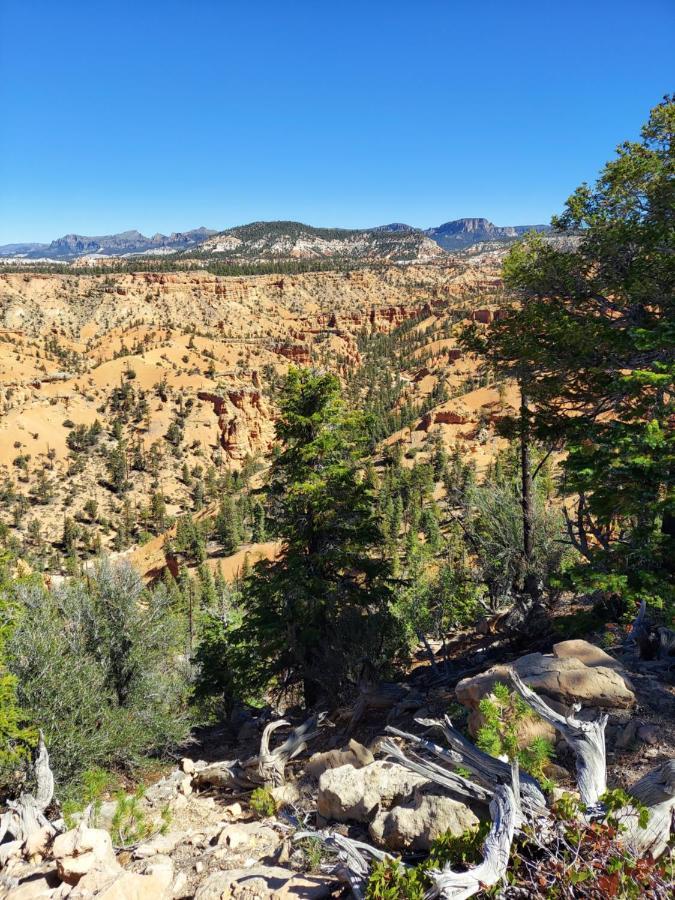 Canyons Of Escalante Rv Park المظهر الخارجي الصورة
